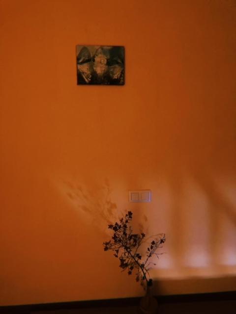 Home Away Home In Heart Of Tbilisi ภายนอก รูปภาพ